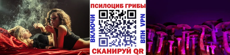 Купить где  Фрязино  Галлюциногенные грибы Magic Shrooms 